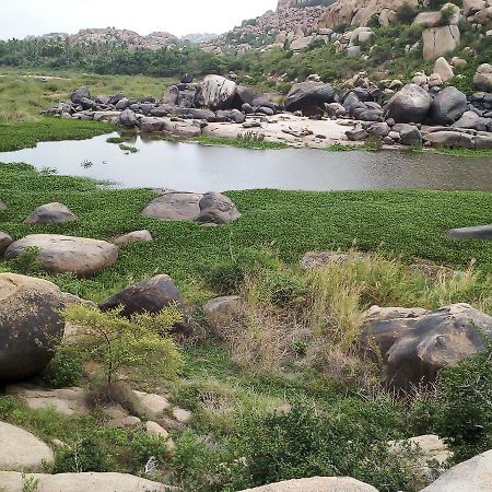 Riverside Homestay Hampi Dış mekan fotoğraf