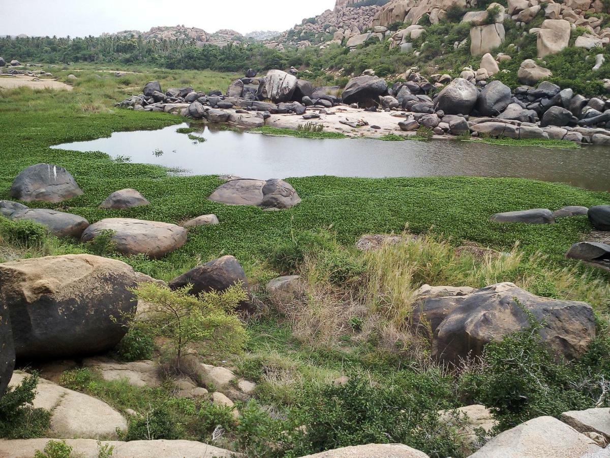 Riverside Homestay Hampi Dış mekan fotoğraf
